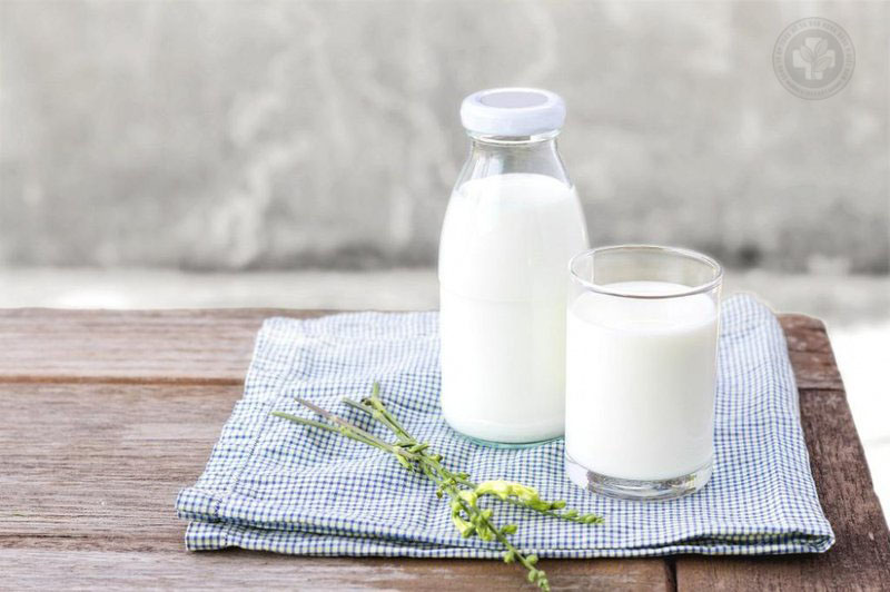 Sữa và chế phẩm từ sữa kích thích dịch nhày tiết ra nhiều hơn
