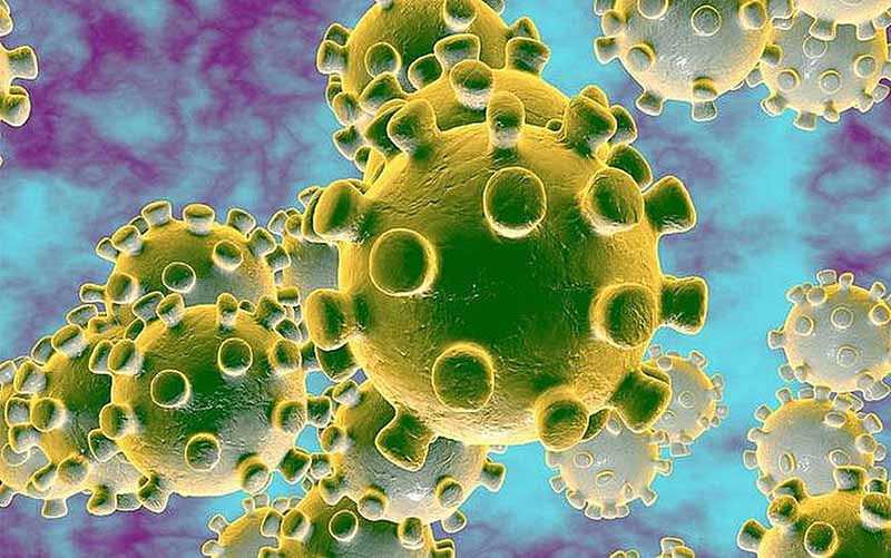 Dịch viêm đường hô hấp cấp do virus Corona và những điều cần biết