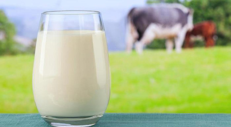 Sữa bò có thể khiến tình trạng dị ứng nghiêm trọng hơn