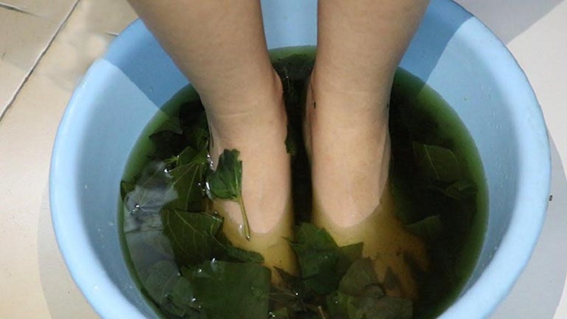 Cho trẻ ngâm chân nước sắc lá lốt giúp cải thiện bệnh viêm khớp cấp ở ngón chân