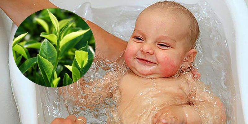 Một số loại thảo dược thiên nhiên có tác dụng kháng khuẩn, tiêu viêm.. được sử dụng để đun nước tắm ngoài da cho bé.