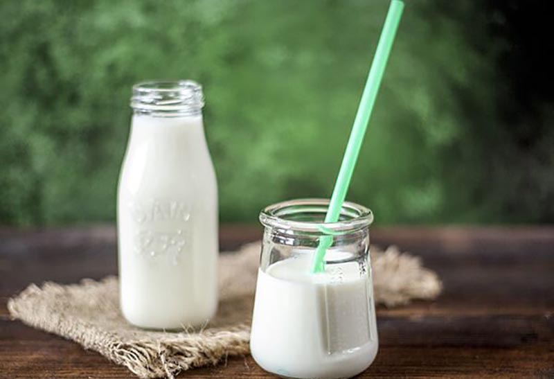 Suy thận uống sữa gì? Top những loại sữa nên dùng
