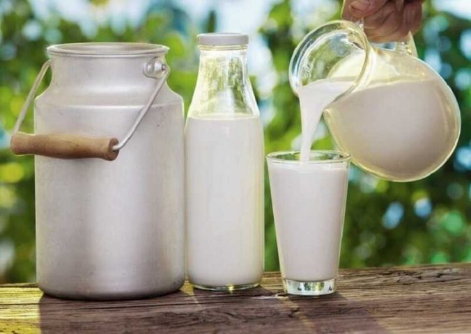 Bệnh sỏi thận uống sữa gì? Sữa tươi ít béo