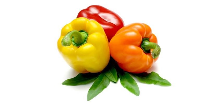 Trong ớt chuông có chứa nhiều vitamin A, C, B16 có tác dụng chống hình thành sỏi thận