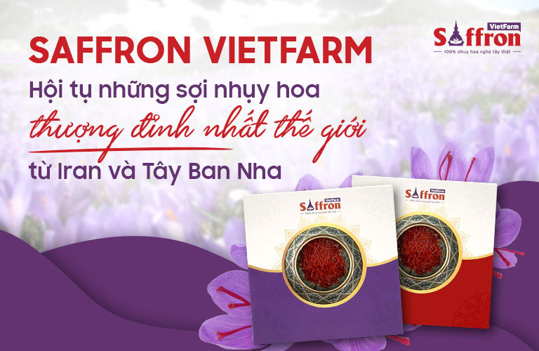 Saffron Vietfarm cung cấp những sợi nhụy chất lượng tốt nhất 