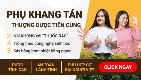 banner Phụ Khang tán